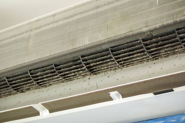 Best Air Duct Cleaning Near Me  in Brookville, NY